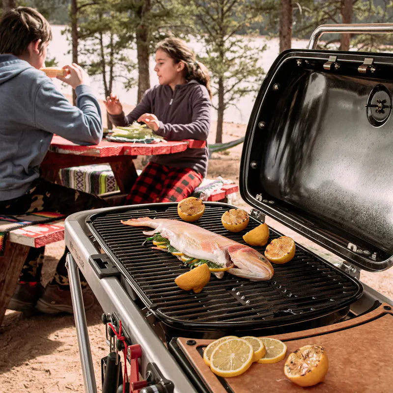 WEBER TRAVELER-GASBARBECUE